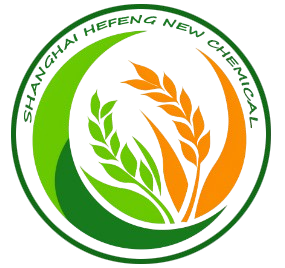 logo__5__1_-removebg-preview