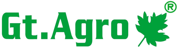logo__5__2_-removebg-preview